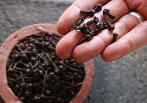 Top 10 Spices Of Sri Lanka